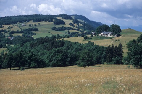 Salève
