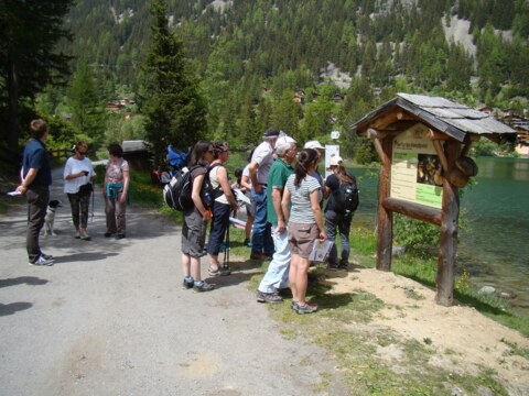 Sentier « Charlotte la marmotte » de Champex-Lac