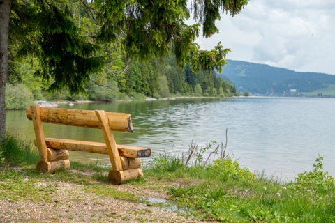 Balade oenotouristique à la Vallée de Joux – Vaud