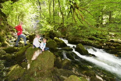 Gorgée de nature