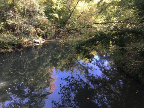 « De l’eau qui coule à un joli niveau »