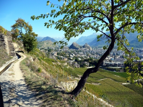 La nature à deux pas de la ville