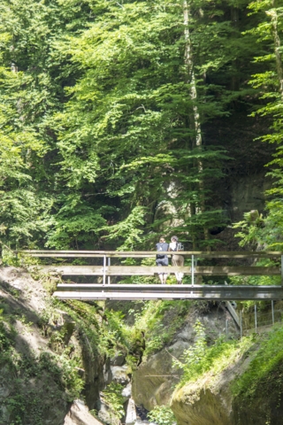 Oasis à deux pas de la ville