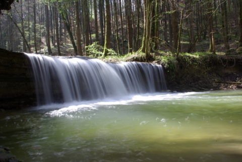 Broyer du vert