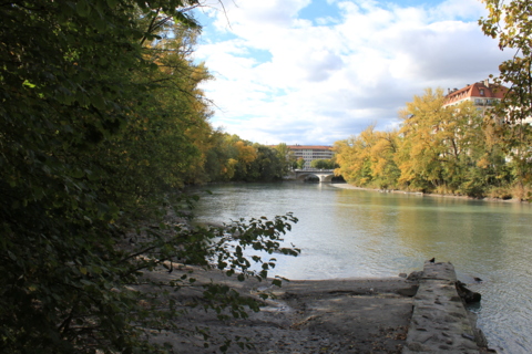 Lézarder au bord de l’Arve