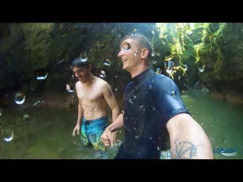 Tine de Conflens