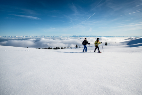 Balade à raquettes Les Rasses – Le Chasseron