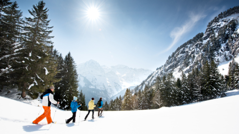 Balade à raquettes au vallon de They