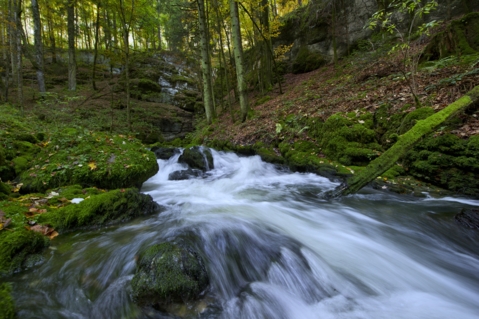 Sentier du Vallon