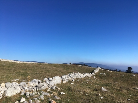 De Basseruche en hautes sphères
