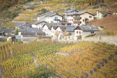Au pays de la châtaigne