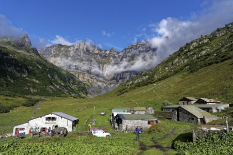 Montée à l’alpage
