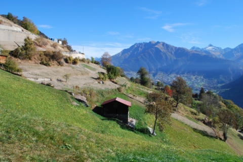 Le sentier du safran