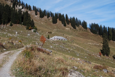 A dévorer des yeux