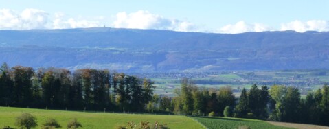 Sentier panoramique Frienisberg