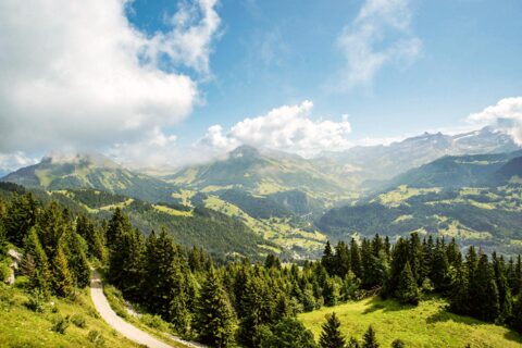 Une vue à donner le tournis