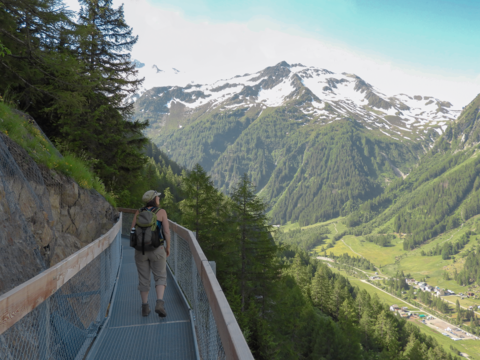 Bisse du Trient