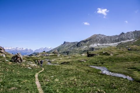 Bisse de Savannes Bellecrête et bisse de Vercorin