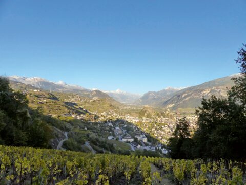 Point d’orgue au Mont d’Orge