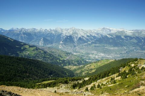 Panorama XXL