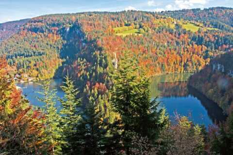 Un Doubs de rêve