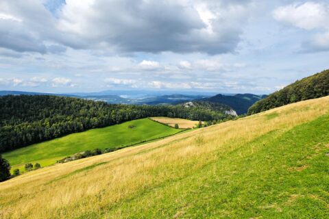 Flirt aux frontières du Jura