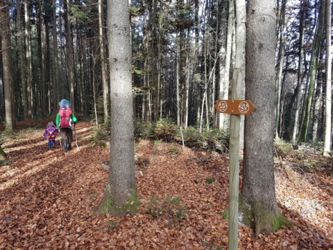 Sentier des fées