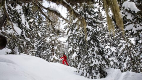 Parcours de ski de randonnée La Chaulée d&rsquo;en bas