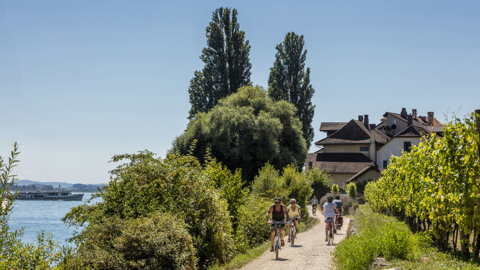 Tour du lac de Bienne à e-bike