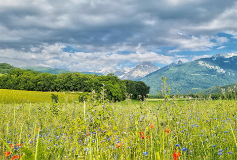 Tour dans les coteaux du Chablais à e-bike