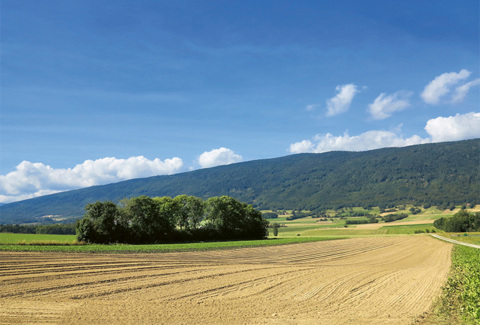 Tour gourmand au pied du Jura à e-bike