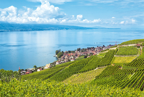 Tour dans le Lavaux à e-bike