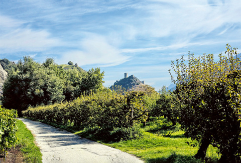 Tour entre Fully et l&rsquo;alpage de Sinlio à e-bike