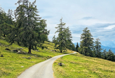 Tour dans la vallée de Bagnes à e-bike