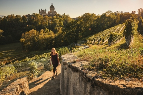 Balade œnotouristique de Morges Région
