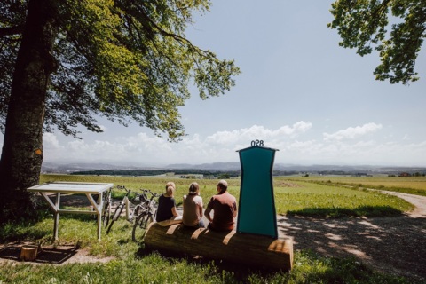 Tour dans le Frienisberg à e-bike