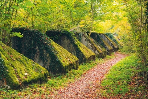 Des Toblerones à ne pas croquer