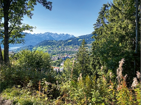 Chasser les porte-bonheur