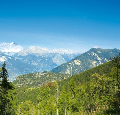 Et j’entends siffler la marmotte