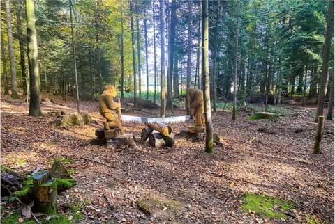 À tire d’ailes en pleine forêt