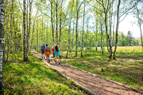 Ici, il paraît que le marais est rouge…