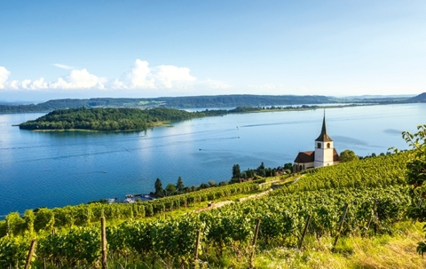 Marcher sur le lac de Bienne