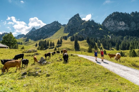 Balade envoûtante à la vallée de la Brecca