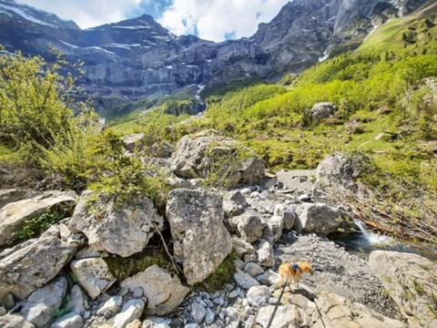 Le Cirque de Creux de Champ