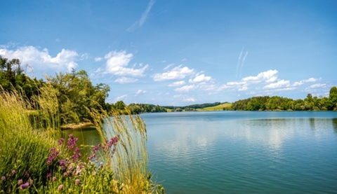 De Puidoux au Lac de Bret