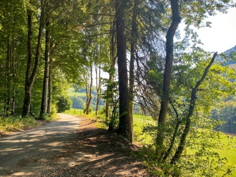 Les gorges de Covatannaz