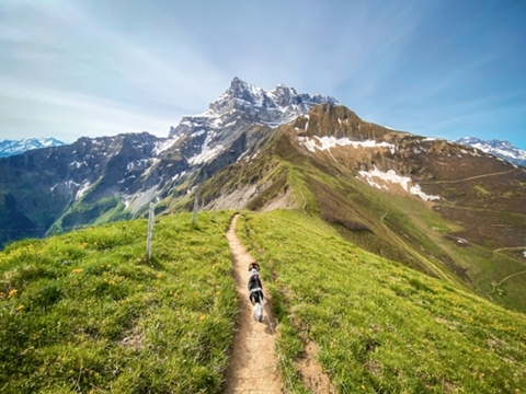 La Dent de Valerette