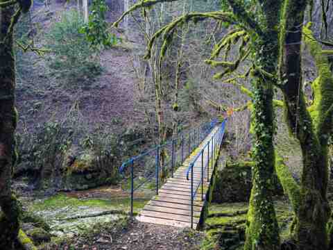 La passerelle bleue