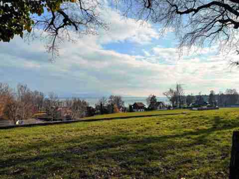 Le bois de la Lignière