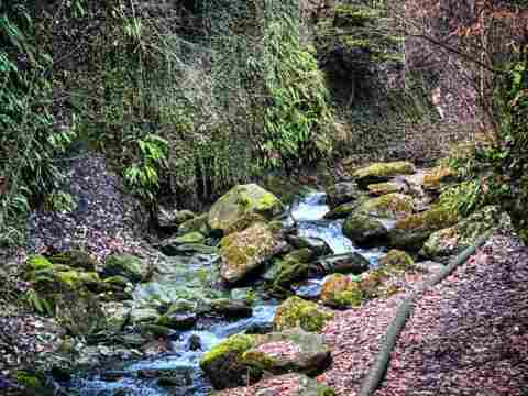 La source des Bains de Saillon